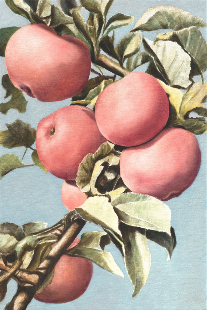 Hitchcock's Apples 2 (2021), 60 x 40 cm, oil on linen (private collection)